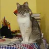 Отзыв от Жанна Ковалева